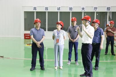 走項目、進工地、察實情——區人大常委會視察全區重點項目建設工作，關注智能家電產業新動能